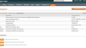 Clear and fflush the magento cache