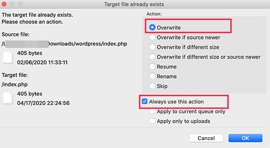 Overwrite WordPress files